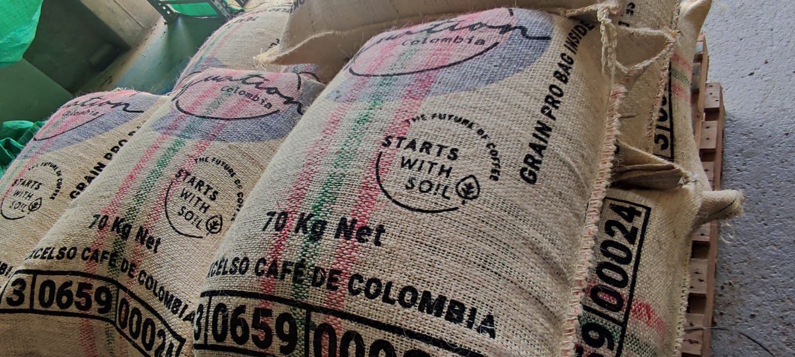 STARTS WITH SOIL Tolima Regional Washed (CAD $4.95/lb)